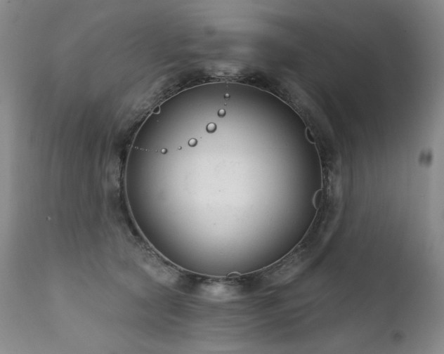 X0000111510561200907141339