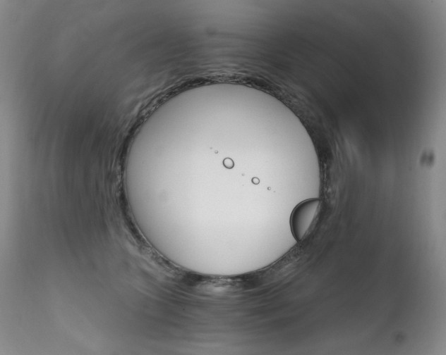 X0000111510563200907141339