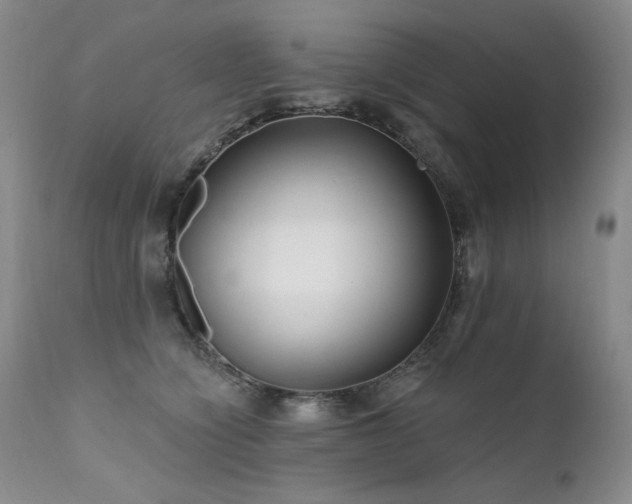 X0000111510564200907141339