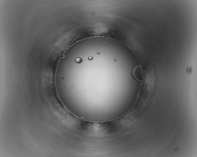 X0000111510565200907141339