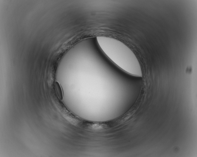 X0000111510566200907141339