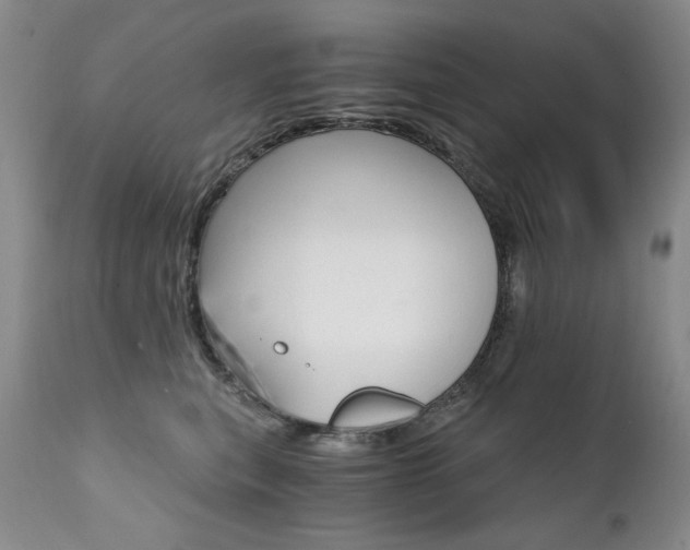 X0000111510567200907141339