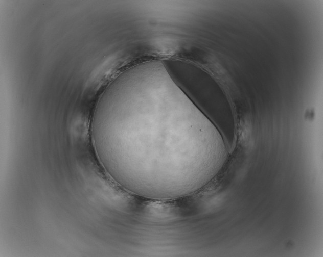 X0000111510568200907141339