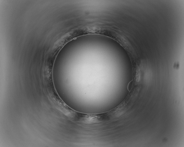 X0000111510569200907141339