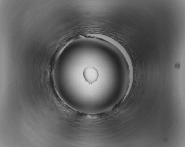 X0000111510570200907141339