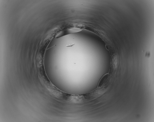 X0000111510571200907141339