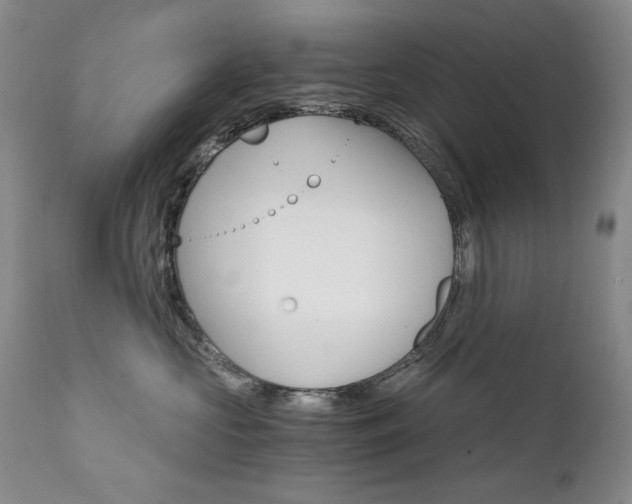 X0000111510573200907141339
