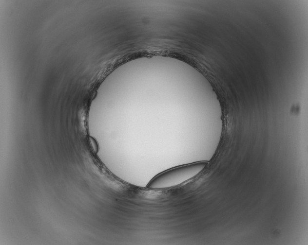 X0000111510575200907141339