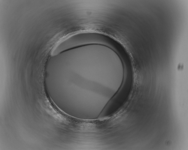 X0000111510577200907141338