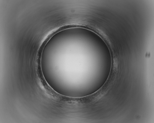 X0000111510580200907141338