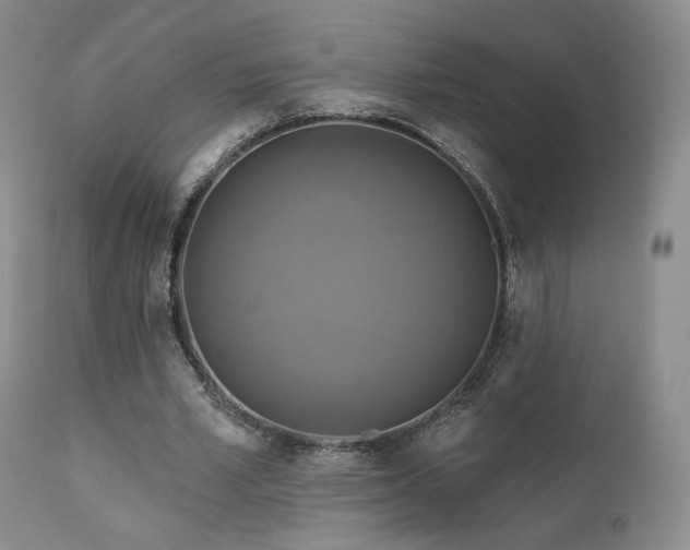 X0000111510581200907141338