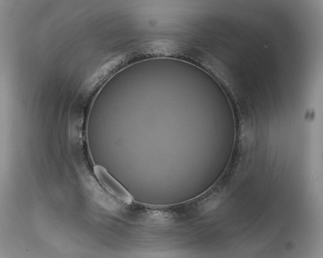 X0000111510585200907141338