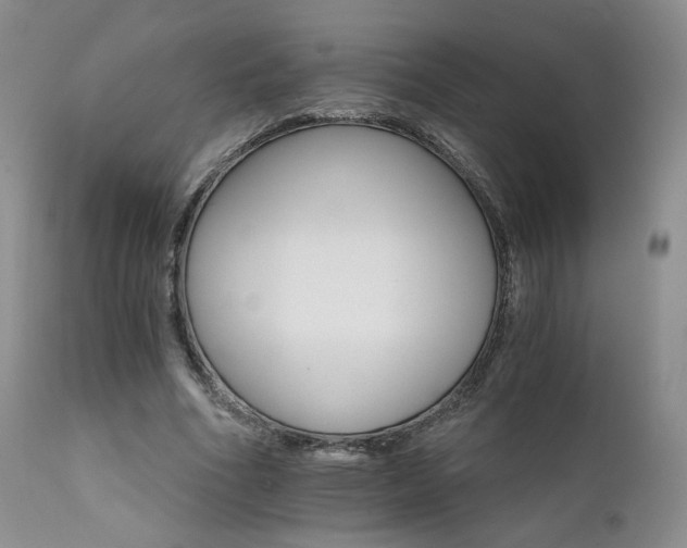 X0000111510586200907141338