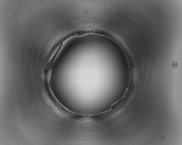 X0000111510589200907141338
