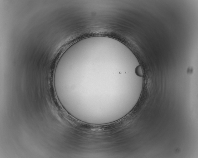 X0000111510591200907141338