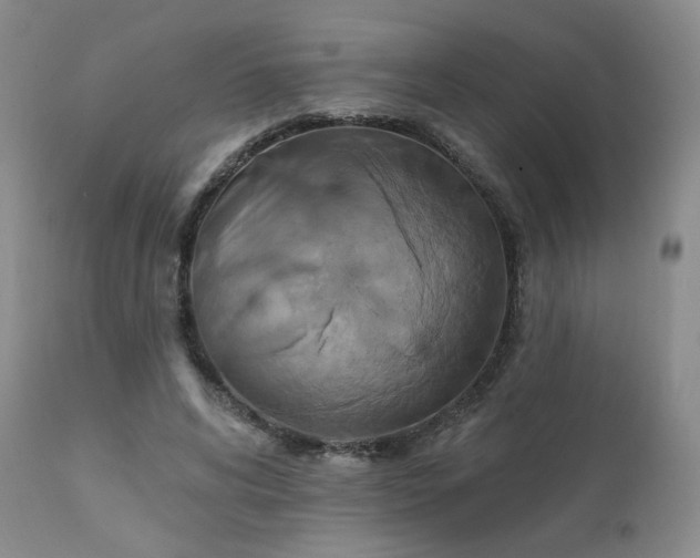 X0000111510592200907141338
