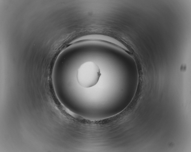 X0000111510593200907141338