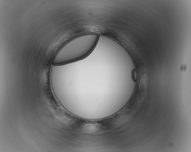 X0000111510595200907141338