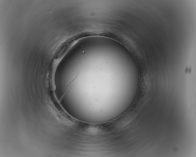 X0000111510596200907141338