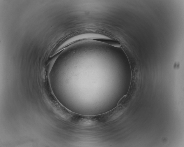 X0000111510597200907141338