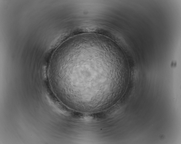 X0000111510598200907141338