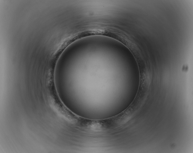 X0000111510600200907141338