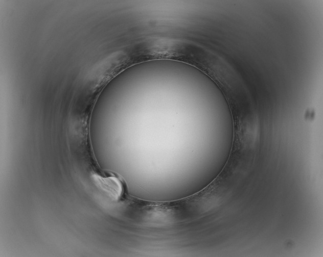 X0000111510601200907141338