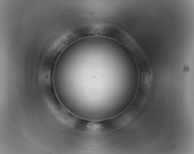 X0000111510602200907141338