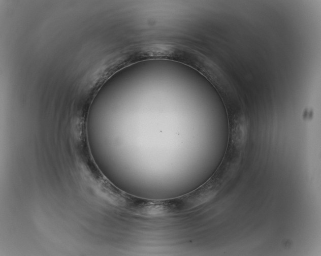 X0000111510604200907141338