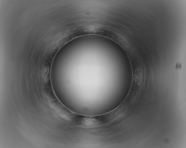 X0000111510605200907141338