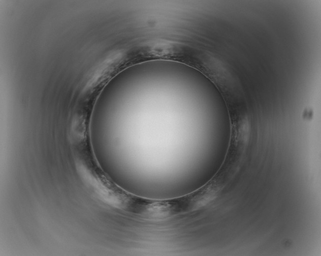 X0000111510606200907141338
