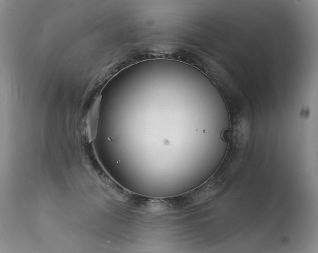 X0000111510608200907141338