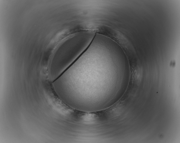 X0000111510609200907141338