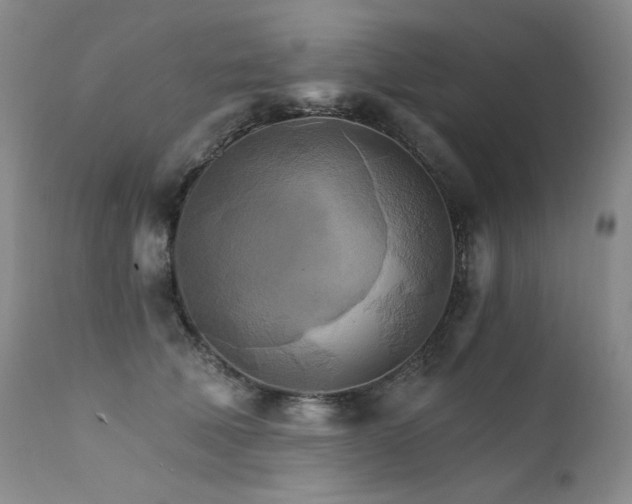 X0000111510610200907141338