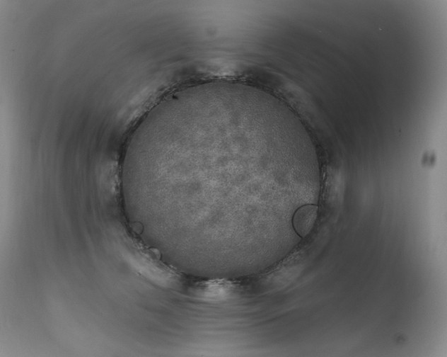 X0000111510612200907141338