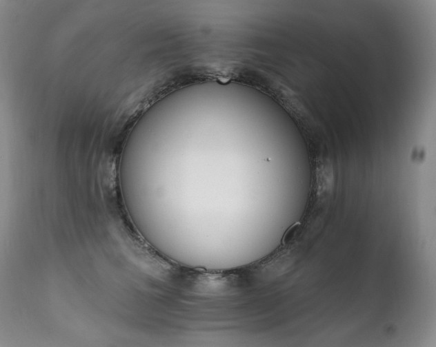 X0000111510613200907141338