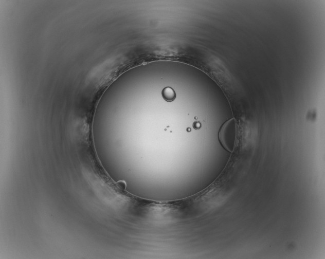X0000111510614200907141338