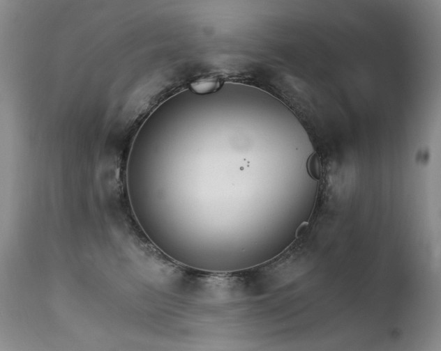 X0000111510615200907141338