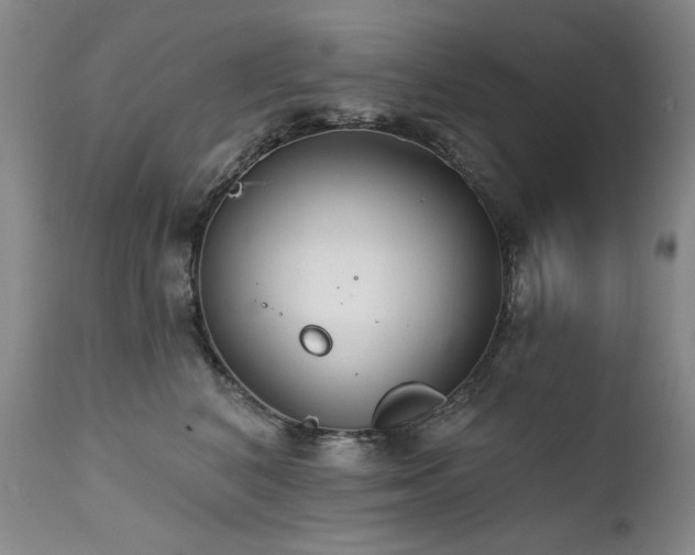 X0000111510616200907141338