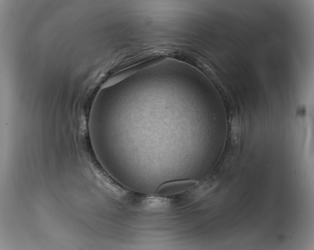 X0000111510617200907141338