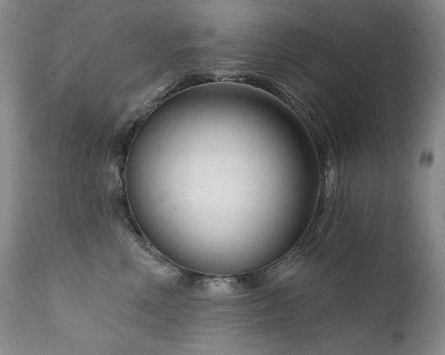 X0000111510618200907141338