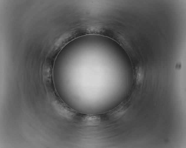 X0000111510619200907141338