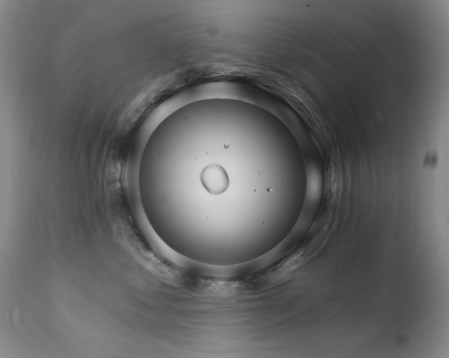 X0000111510621200907141338