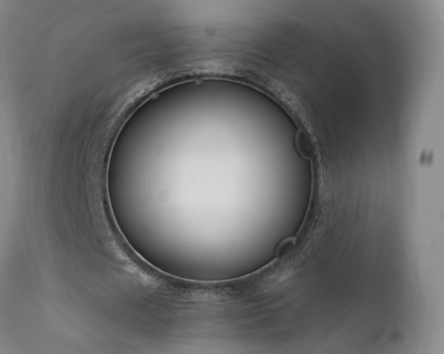 X0000111510625200907141337