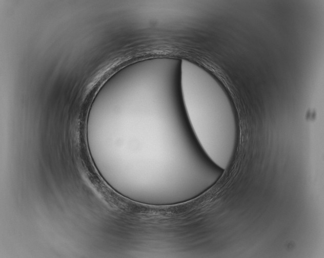 X0000111510626200907141337
