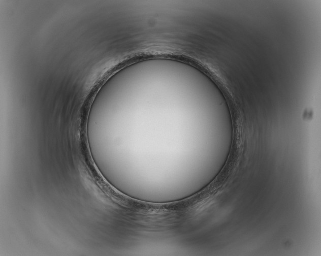 X0000111510631200907141337