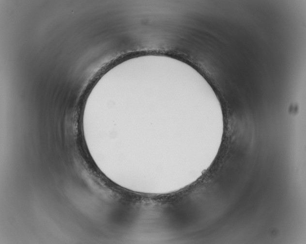 X0000111510632200907141337