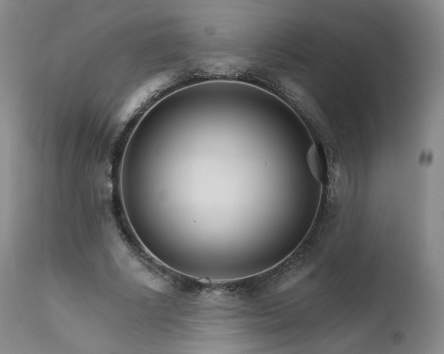 X0000111510634200907141337