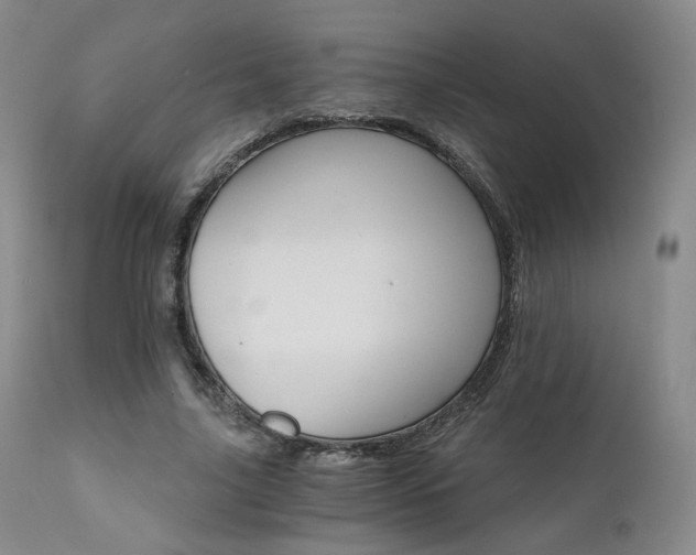 X0000111510635200907141337