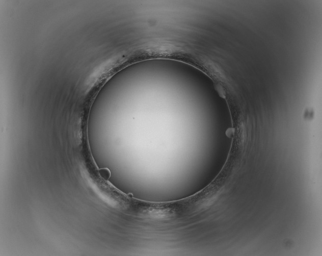X0000111510638200907141337